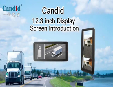 Candid 12.3 inch Display Screen Introduction