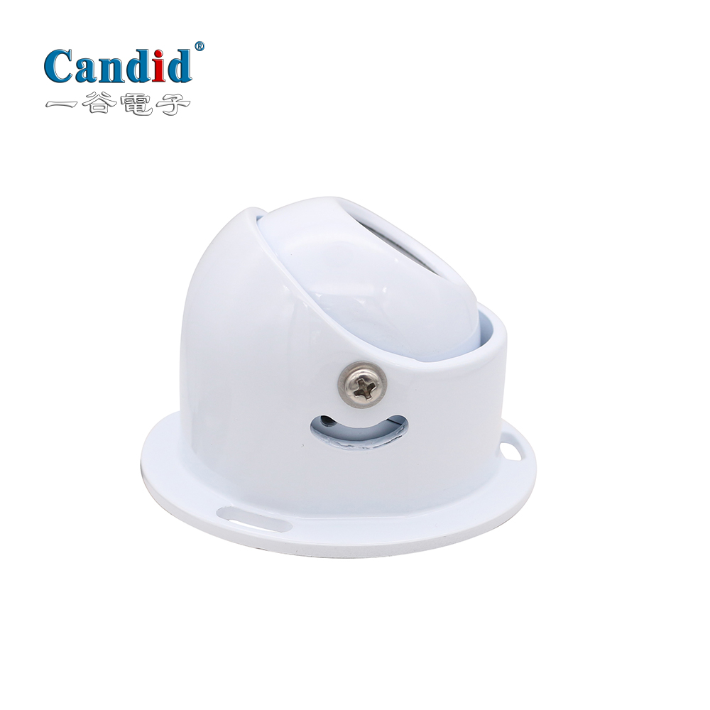 2 million pixels night vision camera CA-307