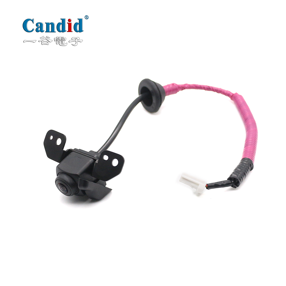 Customized Rearview Camera for Nissan Patrol