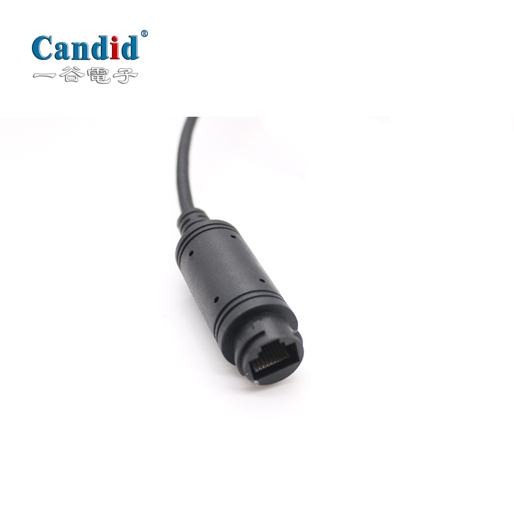 4 Million Pixels IP Network Camera CA-9880