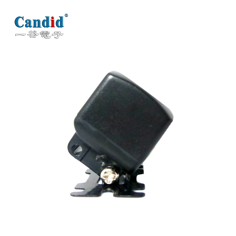 Universal Rearview Camera for Passenger Vehicle CA-207