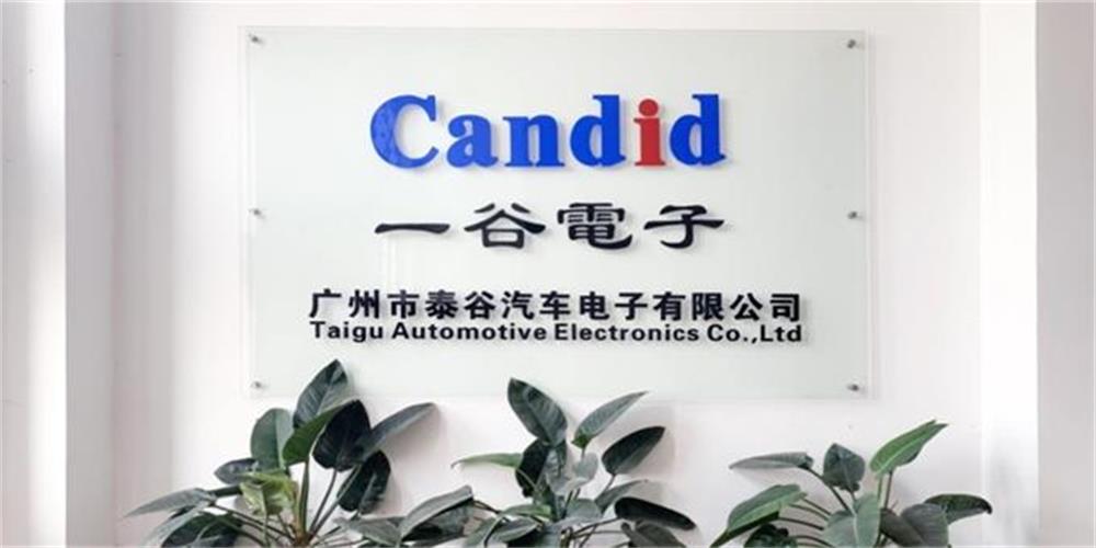Company Profile